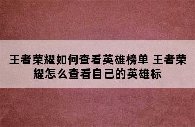 王者荣耀如何查看英雄榜单 王者荣耀怎么查看自己的英雄标